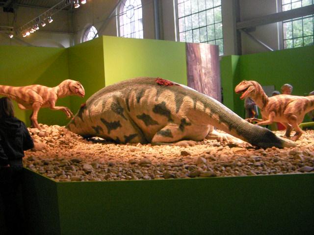 LV Zeltlager 2008 461.jpg